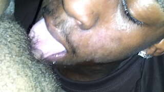 Kočička ponoru a libra pro amatérské