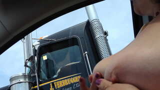 Aussiefox يشعر قرنية