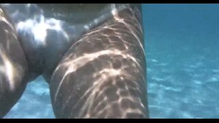 Poeth sengl y tu mewn i'r d, y dŵr yn porto da barra salvador bahia