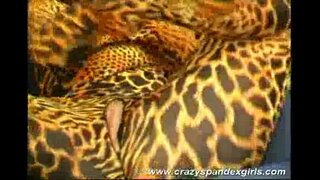 Crazy spandex jente erting sex