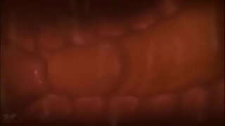 Gozando dento do &amp;uacute;tero