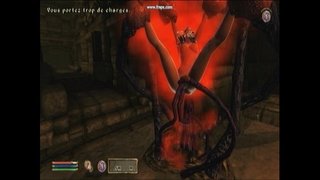 шчупальца цемры.Аві