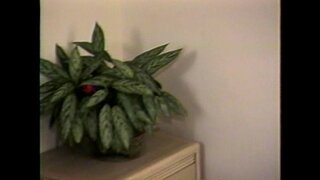 LBO - ბატონი სადო-მაზოხიზმი, missionary Nastiest Vol7 - სცენა 2